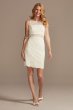 Short Lace Sheath Dress with Illusion Details DB Studio WBM2596