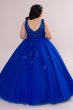 Plus Fairytale Ball Gown with Lace Applique Fifteen Roses 8FR2103