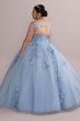 Metallic Floral Plus Size Tulle Quince Ball Gown Fifteen Roses 8FR2114