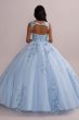 Metallic Floral Glitter Tulle Quince Ball Gown Fifteen Roses FR2114