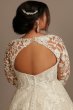 Lace Illusion Long Sleeve Tall Plus Wedding Dress Oleg Cassini 4XL8SLCWG833