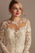 Lace Illusion Long Sleeve Tall Wedding Dress Oleg Cassini 4XLSLCWG833