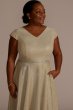 Plus Size Metallic Tea-Length A-Line Dress Oleg Cassini WBM2809W