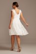 V-Neck Embroidered Lace Cap Sleeve Plus Size Dress DB Studio 9SDWG0804