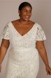 Lace Flutter Sleeve Draped Plus Size Wedding Gown DB Studio 9SDWG1054