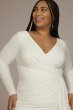 Long Sleeve Plus Size Jersey Dress DB Studio 9SDWG1091