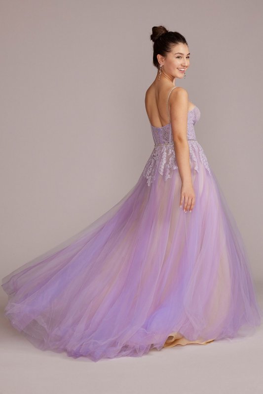 Tulle Ball Gown with Illusion Lace Corset Jules and Cleo WBM2881