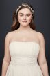 Chiffon Beaded Empire Plus Size Wedding Dress David's Bridal Collection 4XL9NTV9743