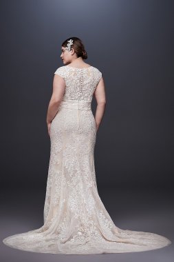 Allover Lace Plus Size A-Line Wedding Dress David's Bridal Collection 9WG3805