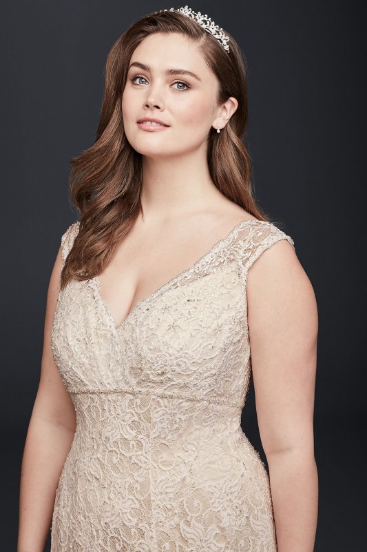 Beaded Cap Sleeve Lace Plus Size Wedding Dress David's Bridal Collection 9T9612