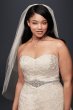 Tulle A-Line Plus Size Wedding Dress with Lace David's Bridal Collection 9V3587