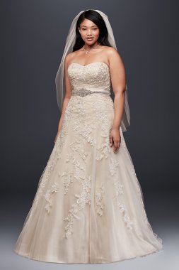 Tulle A-Line Plus Size Wedding Dress with Lace David's Bridal Collection 9V3587