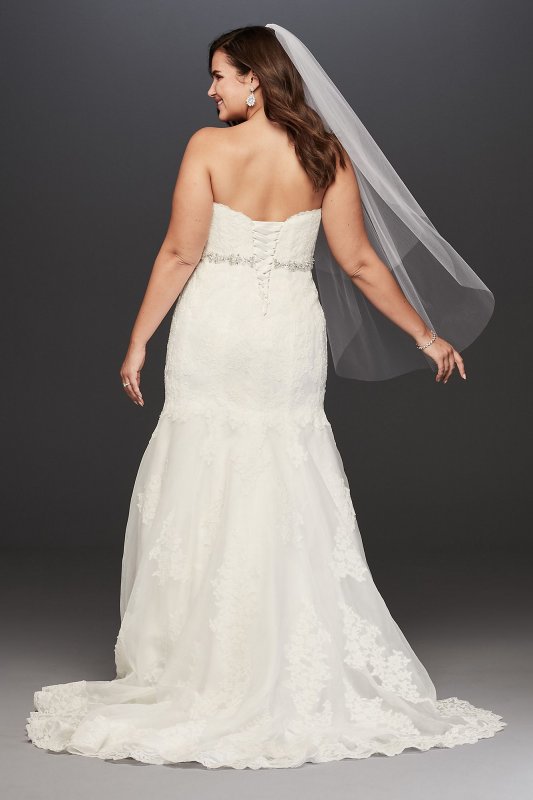 Lace Plus Size Wedding Dress with Scalloped Hem David's Bridal Collection 9V3680