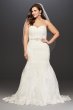 Lace Plus Size Wedding Dress with Scalloped Hem David's Bridal Collection 9V3680