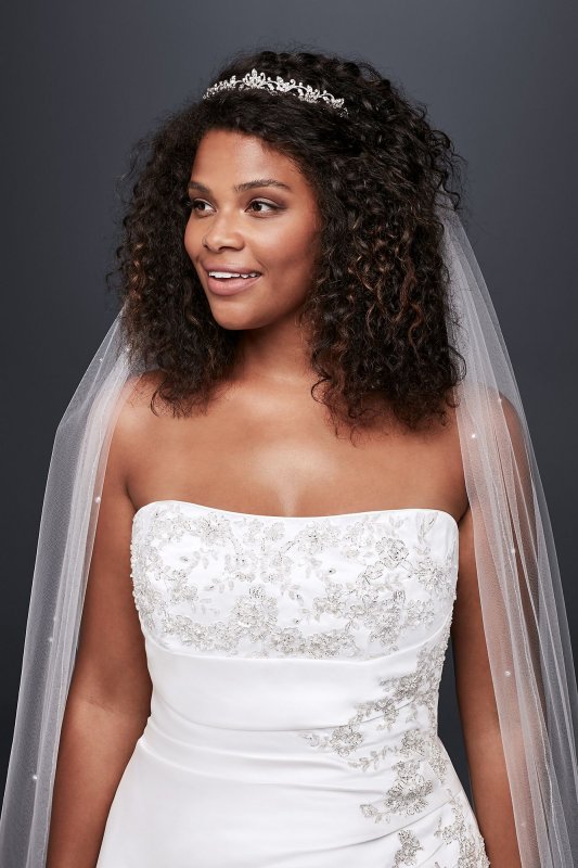 A-line Plus Size Wedding Dress with Lace Up Back David's Bridal Collection 9V9665