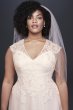 Tulle-Over-Lace Plus Size A-Line Wedding Dress David's Bridal Collection 9WG3859