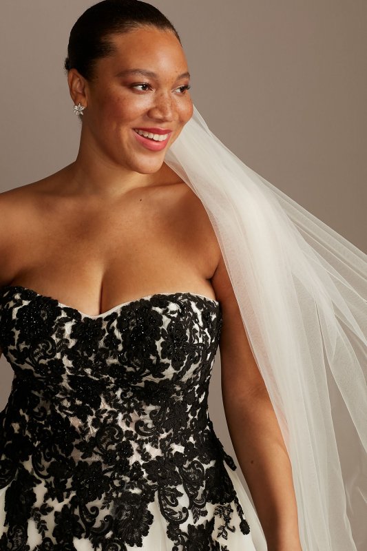 Sheer Lace and Tulle Plus Size Wedding Dress David's Bridal Collection 9WG3861