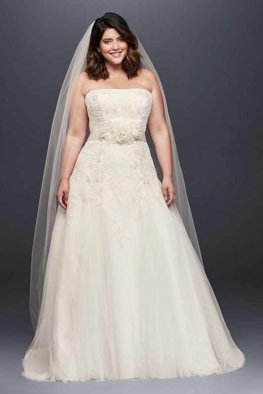 Appliqued Tulle A-Line Plus Size Wedding Dress David's Bridal Collection 9WG3862