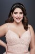 Garza Plus Size Wedding Dress with Double Straps David's Bridal Collection 9WG3903