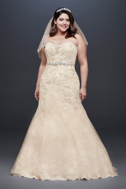 Beaded Lace Plus Size Mermaid Wedding Dress David's Bridal Collection 9WG3909