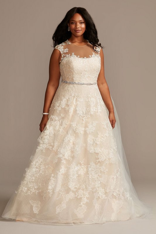 Applique Point DEsprit Plus Size Wedding Dress David's Bridal Collection 9WG3980