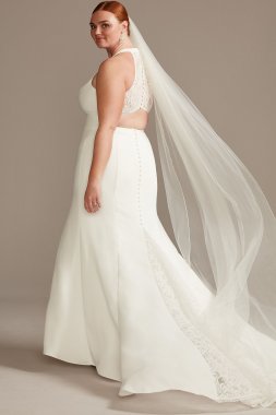 Sheer Back Plus Size Wedding Dress with Lace Train David's Bridal Collection 9WG3989