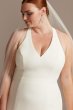 Sheer Back Plus Size Wedding Dress with Lace Train David's Bridal Collection 9WG3989