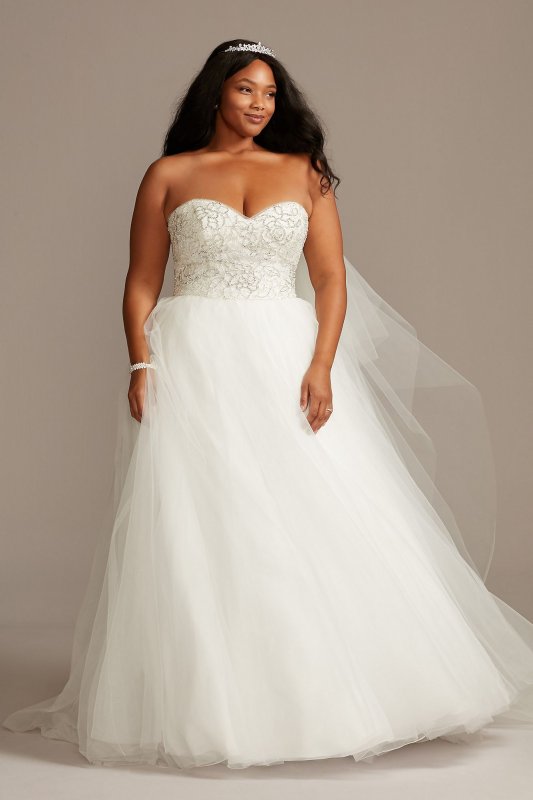 Crystal Floral Bodice Plus Size Wedding Dress David's Bridal Collection 9WG3996