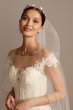 Linear Beaded Applique Mermaid Wedding Dress Oleg Cassini CWG849