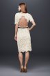 Illusion Lace Shift Dress with Contrast Ribbon DB Studio DS870029