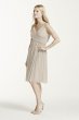 Short Mesh Bridesmaid Dress with Cowl Back David's Bridal F16007