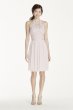 Short Lace Mesh Dress with Halter Neckline David's Bridal F17020