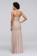 Long Fit and Flare Mesh Bridesmaid Dress David's Bridal F18076