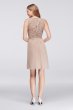 Chiffon V-Neck Dress with Lace Back David's Bridal F19439