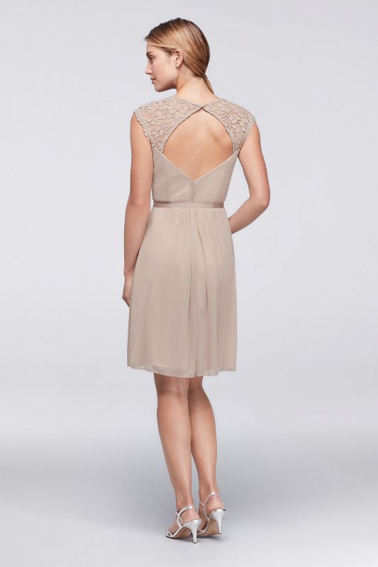 Mesh Dress with Lace Sleeves and Keyhole Back David's Bridal F19442