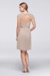 Mesh Dress with Lace Sleeves and Keyhole Back David's Bridal F19442