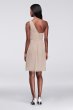 Crinkle Chiffon One-Shoulder Dress David's Bridal F19446