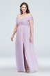 Crisscross Off-the-Shoulder Mesh Bridesmaid Dress David's Bridal F19951