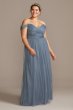 Off-the-Shoulder Pleated Soft Net Bridesmaid Dress David's Bridal F20116