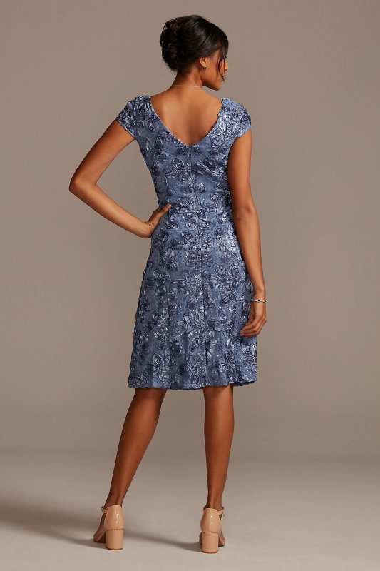 Short A-Line Applique Dress with Cap Sleeves Alex Evenings 1121570