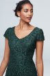 Shimmer Corded Lace Cap Sleeve Gown Alex Evenings 81122323