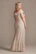 Off the Shoulder Embellished Detail Plus Size Gown Alex Evenings 84122267