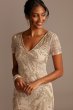 Beaded Branch Short Sleeve V-Neck Godet Dress David's Bridal DEV0602KI