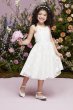 Illusion Lace Tie-Back Halter Flower Girl Dress David's Bridal OP237