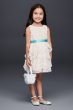 Rosette Flower Girl Dress with Ruffled Skirt David's Bridal OP242