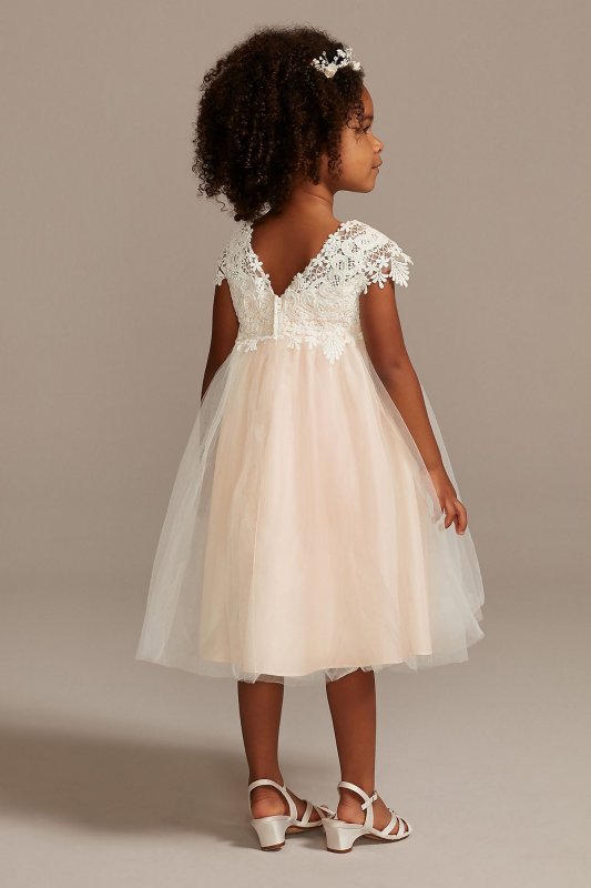 Venise Lace Cap Sleeve Flower Girl Dress David's Bridal OP269