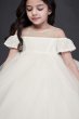 Off the Shoulder Lace and Tulle Flower Girl Dress David's Bridal WG1405